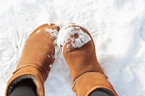 ファッション人材リンク株式会社の求人募集情報