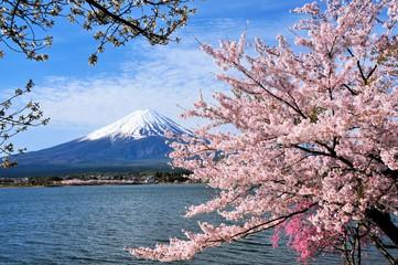 株式会社ヤマノビューティメイトグループの求人募集情報