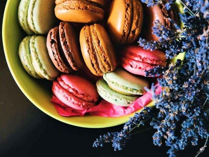 ファッション人材リンク株式会社の求人募集情報