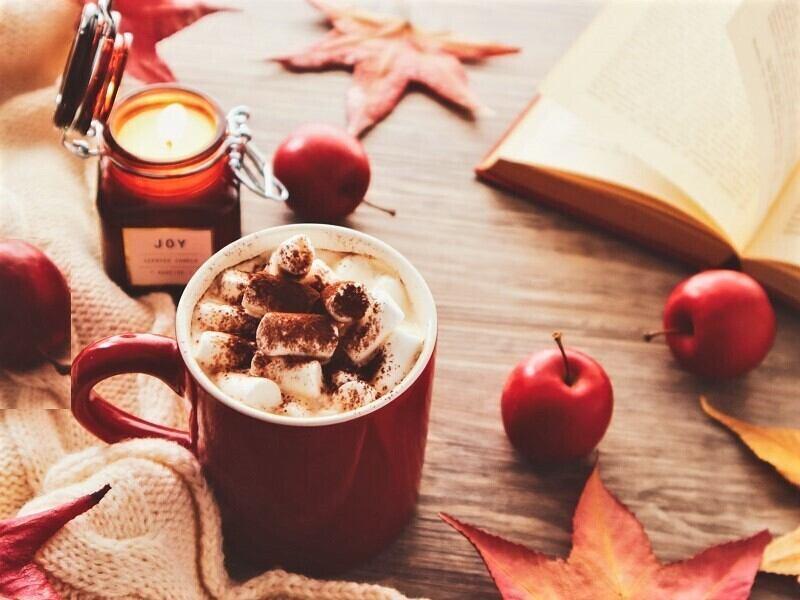 ファッション人材リンク株式会社の求人募集情報