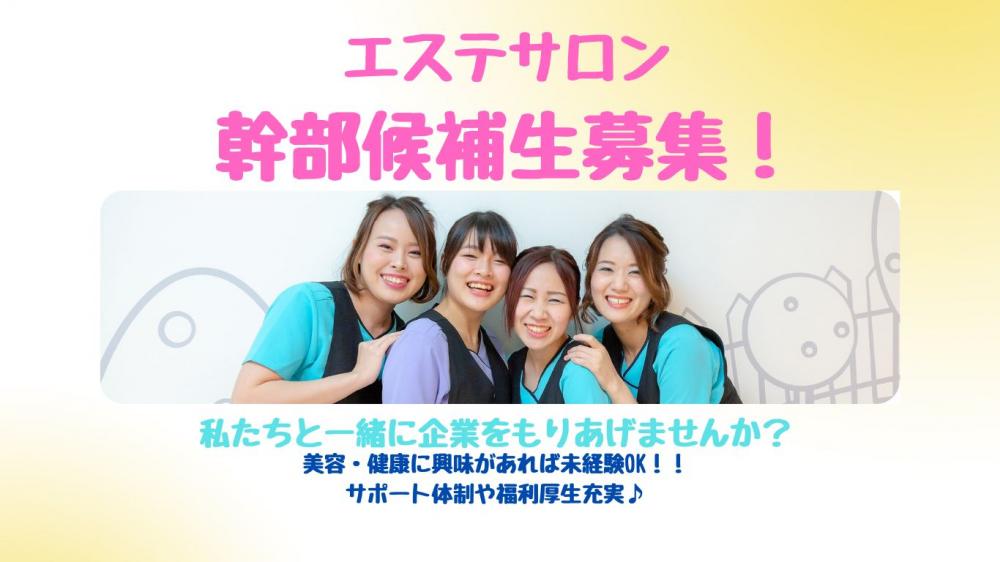 株式会社モデスティの求人募集情報