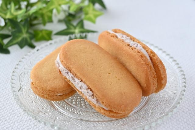 ファッション人材リンク株式会社 札幌支店の求人募集情報