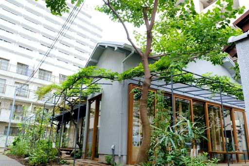 東京都のカフェのアルバイト バイト求人 ラテコ