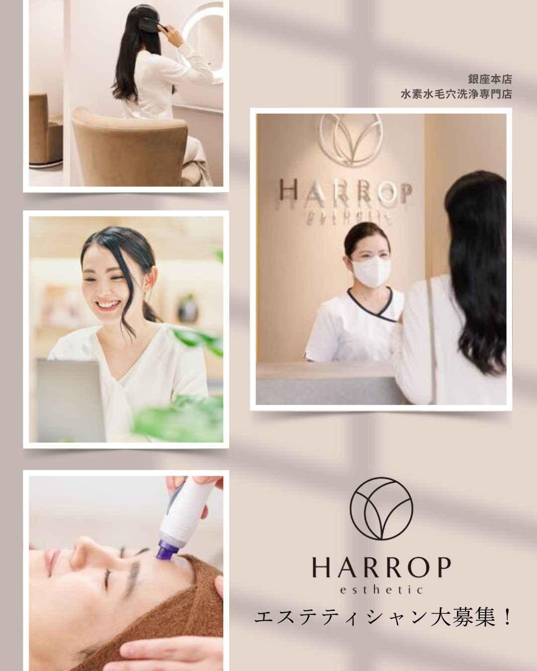 HARROP (ハロップ)求人